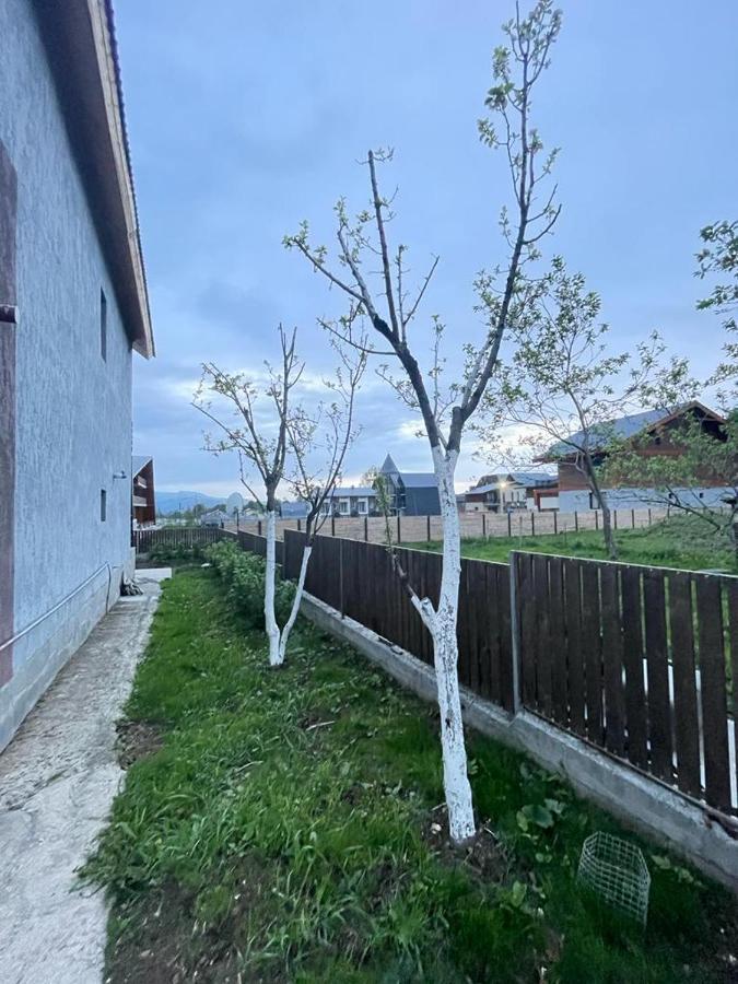 Villa In 巴库里阿尼 外观 照片